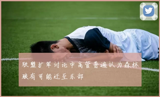 联盟扩军讨论中高管普遍认为森林狼有可能迁至东部