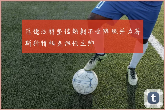 范德法特坚信热刺不会降级并力荐斯科特帕克担任主帅