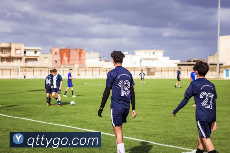 球探体育平台生态图